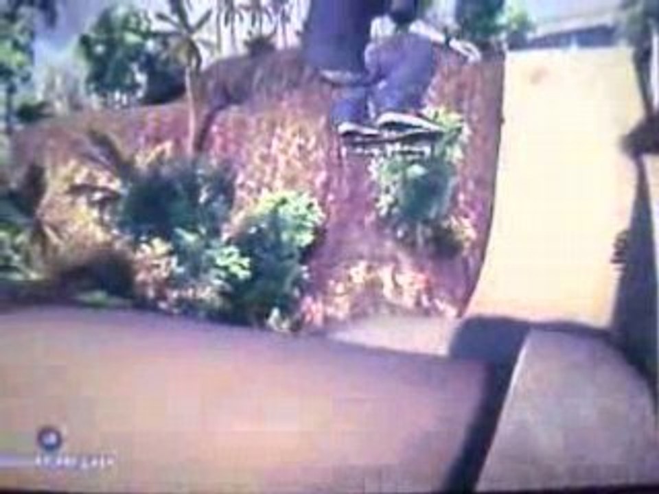 EA skate 1080 au mega park