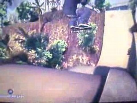 EA skate 1080 au mega park