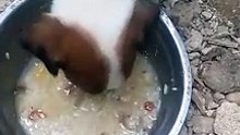 masarap kain