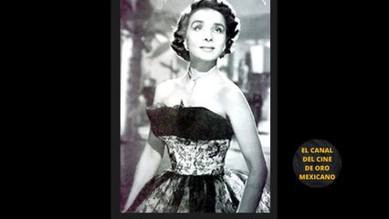 5 DIVAS DEL CINE DE ORO DESAFIARON JUNTAS A MANOLO FÁBREGAS POR EXITOSO PROYECTO CINEMATOGRÁFICO