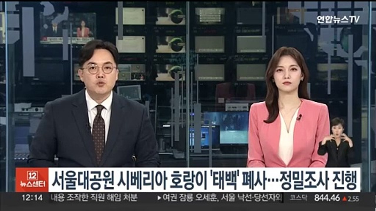 서울대공원 시베리아 호랑이 '태백' 폐사…정밀조사 진행