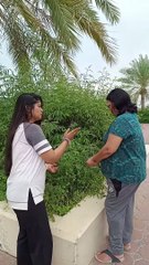 Saas-Bahu Relationship Dynamics