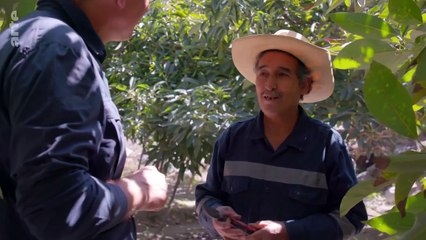 Des volcans et des hommes - ARTE