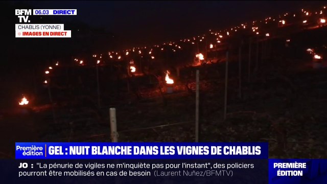 Des bougies allumées dans les vignes de Chablis pour lutter contre le gel