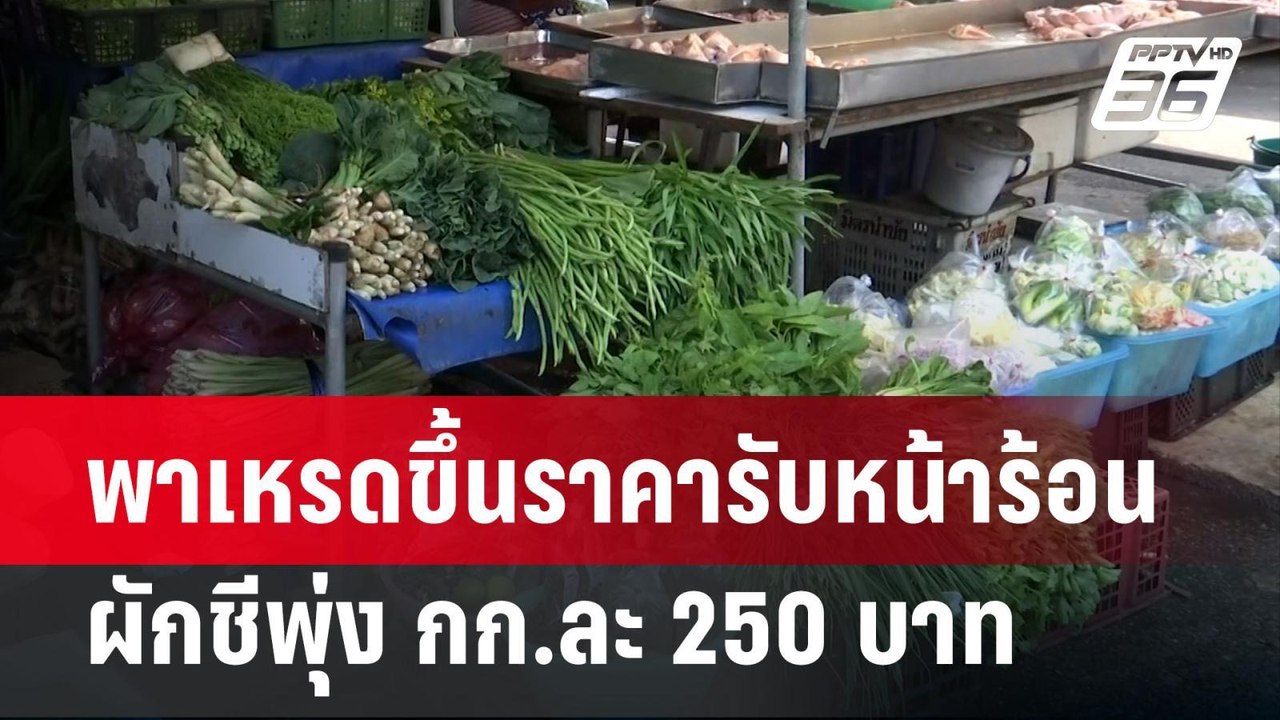 พาเหรดขึ้นราคารับหน้าร้อน ผักชีพุ่ง กก.ละ 250 บ...
