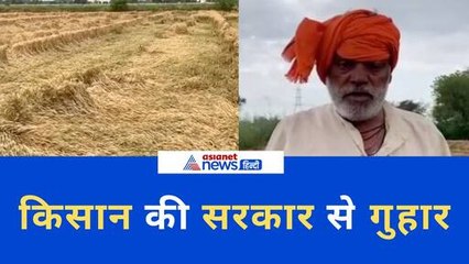 Hapur में किसानों की फसलों का भरी नुकसान, रुला रही बेमौसम बारिश