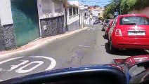 Vídeo de una culebra real californiana cruzando la carretera