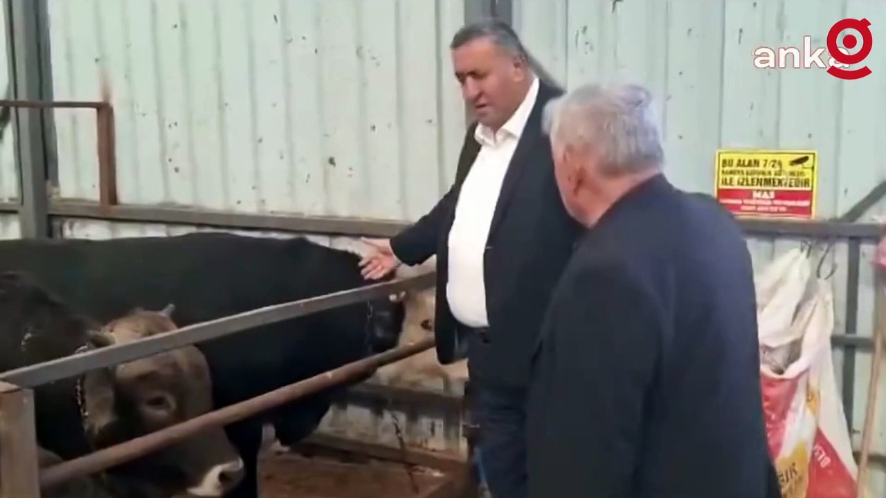 CHP Niğde Milletvekili Ömer Fethi Gürer: "Geçen yıla göre kurban fiyatları yüzde 100 arttı"