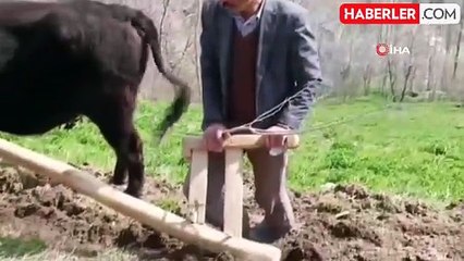 Bu ilçede hala 'Kara saban' kullanılıyor