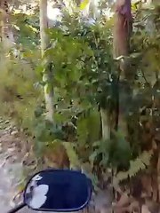 Pasyal pasyal