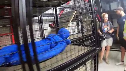 El duro entrenamiento de Pablo Álvarez Para convertirse en astronauta