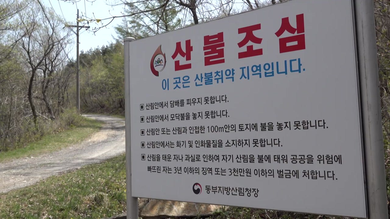 4월 잦은 비, 대형 산불 막았다..."5월까지는 긴장해야" / YTN