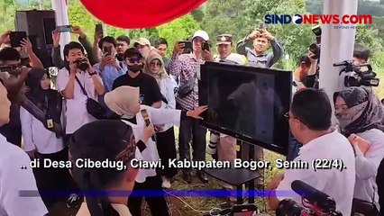 AHY Tanam Ribuan Pohon Sengon di Kawasan Puncak Peringati Hari Bumi
