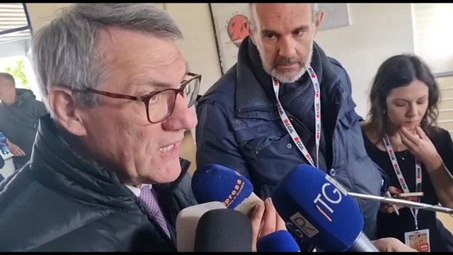 Landini: Governo deve convocare l'ad di Stellantis Tavares