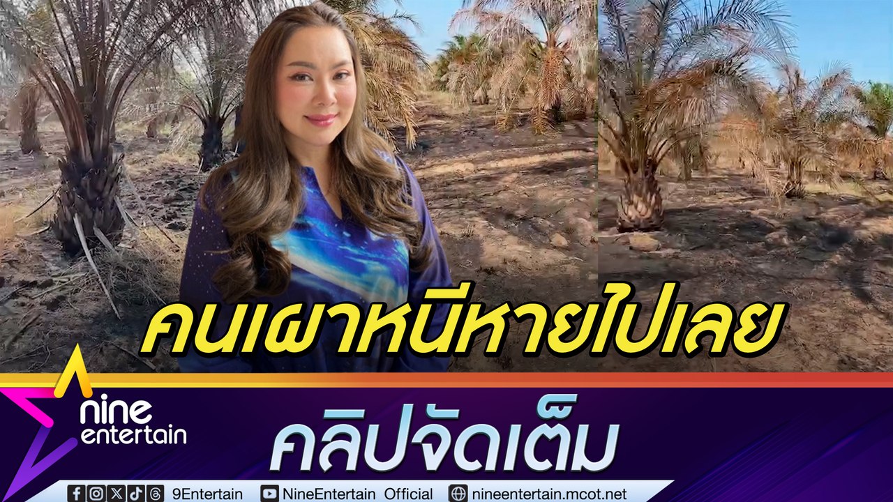 บุ๋ม ปนัดดา น้ำตาร่วง เสียสวนปาล์มร่วม 50 ไร่ เพราะความมักง่ายของคน ใช้กฎหมายจัดการก็คงไม่มีเงินจ่าย (คลิปจัดเต็ม)