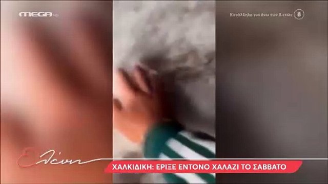 Μενεγάκη για το Σαββατοκύριακο στην Άνδρο με τα παιδιά: «Μου έκανε εντύπωση, έβλεπα για πρώτη φορά…»!