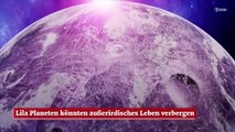 Lila Planeten könnten außerirdisches Leben verbergen