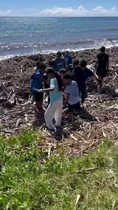 2,5 tonnes de déchets ramassées sur le littoral de Saint-Denis