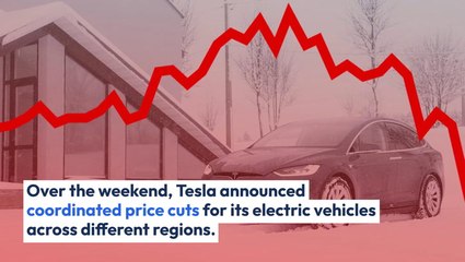 'Should Have Sold Our Entire $TSLA Position,' Says Fund Manager, Following EV Giant's Coordinated Global Price Cuts Over Weekend