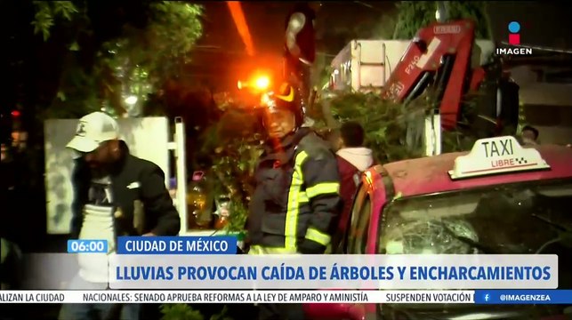 Lluvias provocan caída de árboles y encharcamientos en la CDMX
