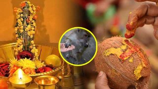 Hanuman Janmotsav 2024: हनुमान जन्मोत्सव पर जरूर करें ये उपाय | Hanuman Jayanti Par Kya Upay Karen