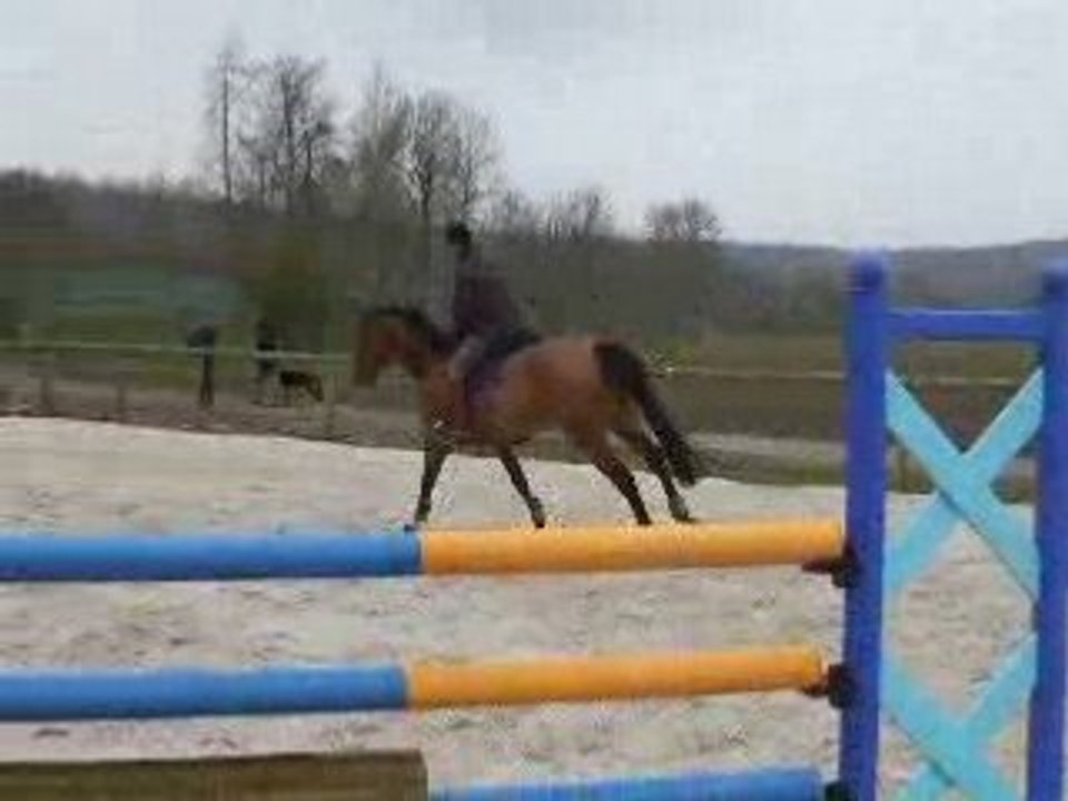 Foto nils