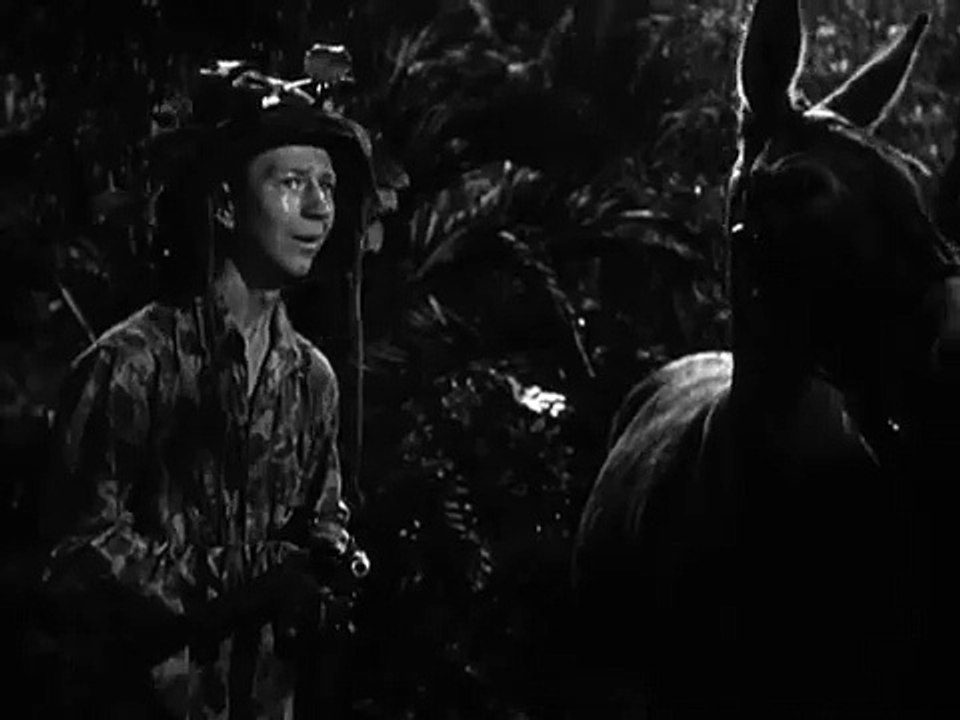 Francis, le mulet qui parle Bande-annonce (ES)