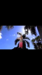 Yo me llamo Cumbia- Flauta Traversa