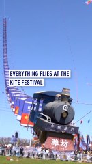 Kite Festival: Everything is flying up in the sky!