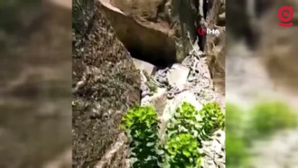 Ölümcül zehre sahip engerek yılanları sürü halinde görüntülendi
