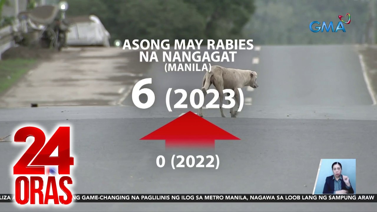 24 Oras Part 2: Banta ng rabies; lider ng Qatar sa Pilipinas; mag-lolang nasawi sa sunog; road repair sa EDSA-Kamuning flyover; one-on-one with Emily Blunt at Ryan Gosling, atbp.