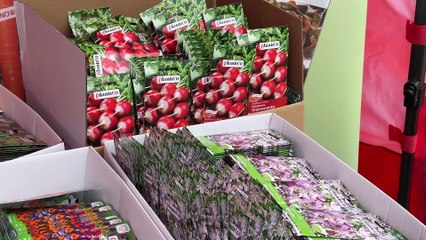 Akcja ekologiczna Nowin