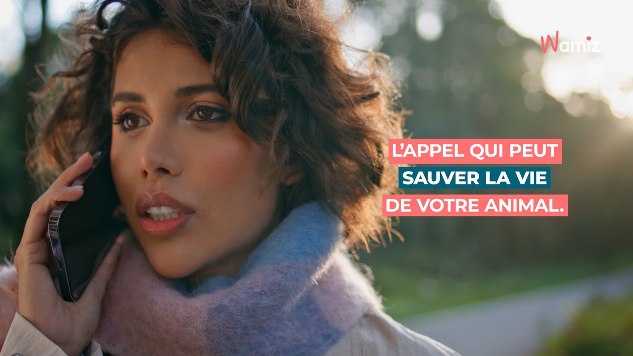 Urgences Vétérinaires  le 3115, l’appel qui peut sauver la vie de votre animal