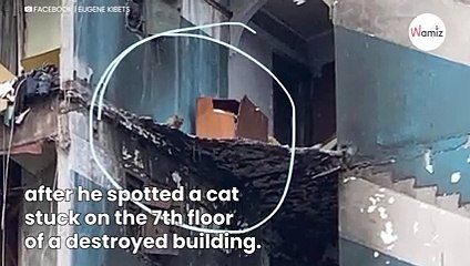 Mysterious box is found on top of a building: It’s contents cause a sensation!