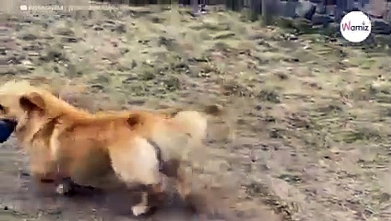 „Überfall“ mitten in der Live-Schalte: Reporter aus der Ukraine völlig baff