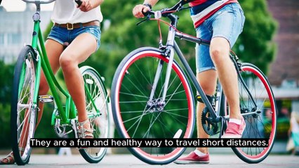 Introduction and description of Bike 3.37