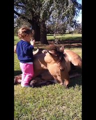 Al galope: Rosita, la potranca rescatada, fue mamá y tiene otro libro