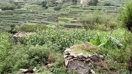 من اجمل واروع اغاني الريف اليمني التراثيه التي تشجي القلب وترف المشاعر