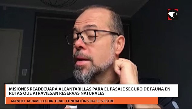 Misiones readecuará alcantarillas para el pasaje seguro de fauna en rutas que atraviesan reservas naturales