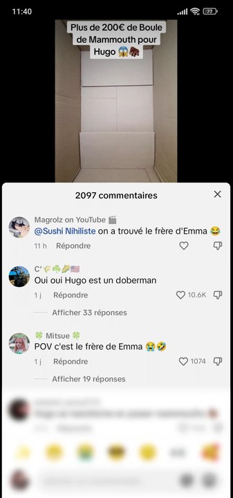 Hugo aime les Boules de Mammouth