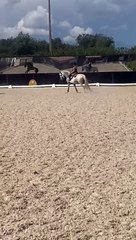 Bárbara Norton de Matos e João Moura Caetano