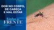 Primeira manifestação da dengue é febre alta | LINHA DE FRENTE