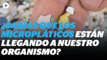 Estudios comprueban que los seres humanos están consumiendo microplásticos I Reporte Indigo