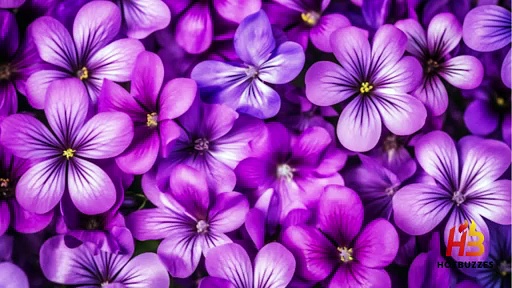 World of Blue Flowers Symbolism