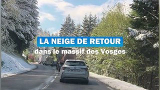 La neige de retour en quantité dans le massif des Vosges