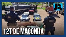 Carga com 12 toneladas de maconha é apreendida na caçamba de caminhão no Mato Grosso do Sul