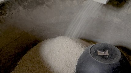 Espiga del Atrato: la historia de las mujeres del arroz en el Chocó