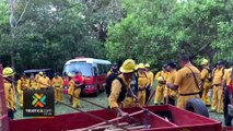 tn7-bomberos-atienden-cinco-incendio-forestales-220424