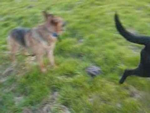 MVI_4204-4205-4207-4208