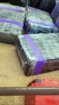 PRF apreende 2,5 toneladas de maconha escondidas em carga de soja em Mercedes